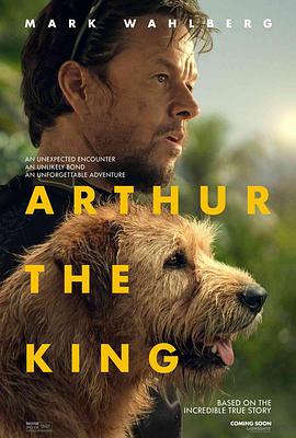 冠军亚瑟 Arthur the King_电影