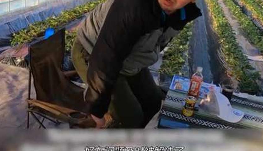 日本农民女孩休降的草莓农场日常记录