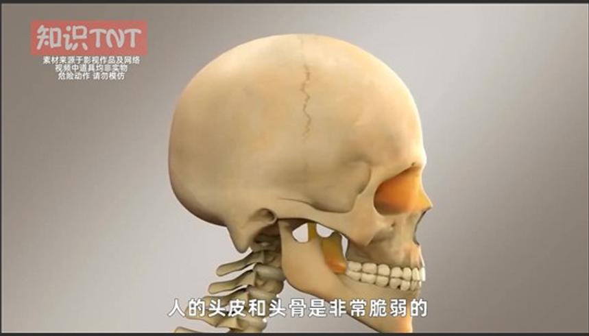 啤酒瓶满瓶与空瓶哪个威力大科学实验揭秘真相