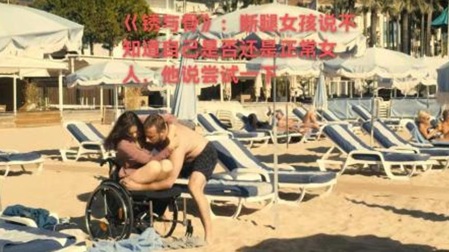 《锈与骨》：残缺生命的碰撞与双向救赎的史诗