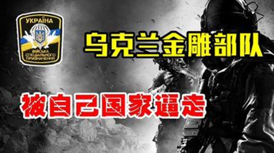 乌克兰金雕特种部队如何被国家逼成敌人