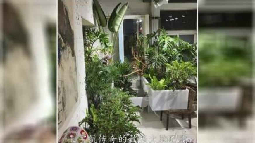 《幻之光》：在离别与海浪声中寻找生命的微光