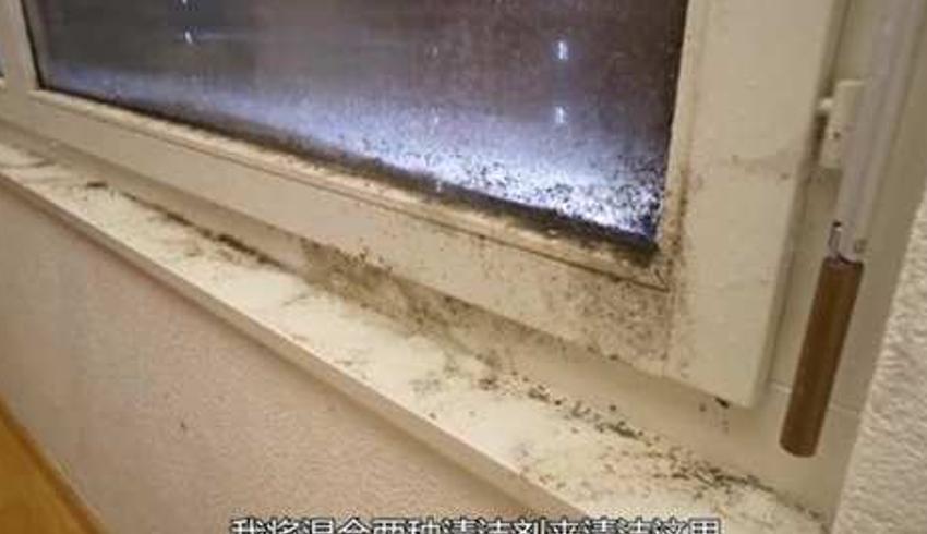 33国外女孩五年未打扫的脏乱房间清理纪实