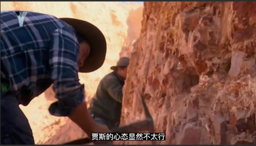 蛋白石寻宝：新手贾斯花12500美刀收石鉴定后傻眼