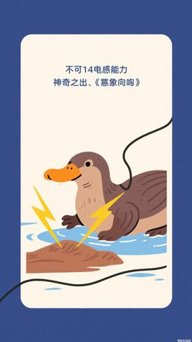 鸭嘴兽的电感应能力神奇之处超乎想象