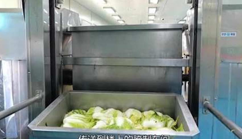 《探秘韩国泡菜工厂：从新鲜食材到美味酱料的诞生记》