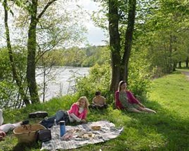 《利摩日阳台》：信仰伪善与异端生命力的尖锐对撞