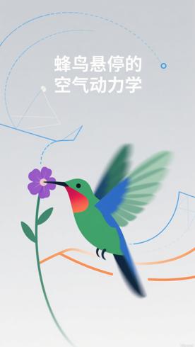 蜂鸟悬停时的空气动力学小秘密