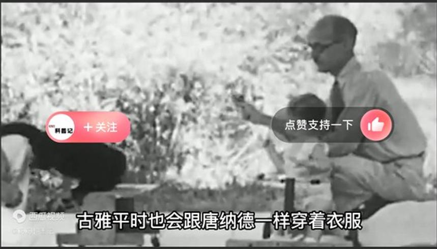 基因与环境谁决定人类行为凯洛格黑猩猩试验揭秘