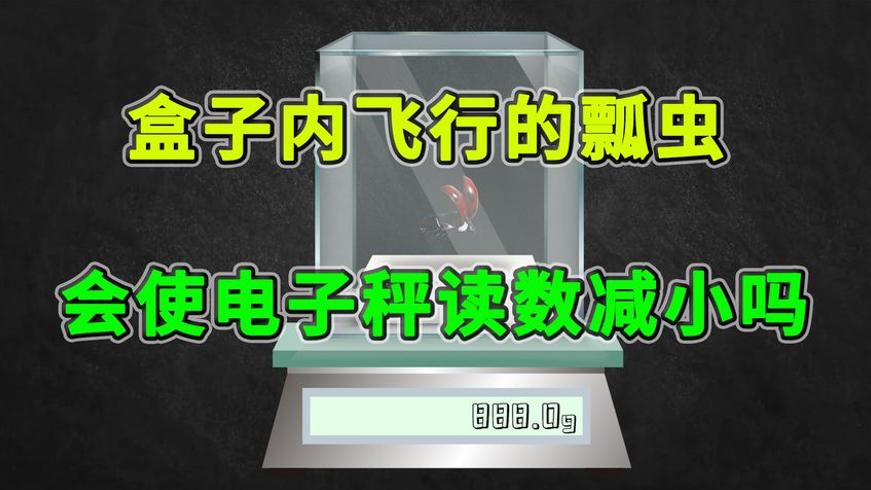 密封盒中飞行的瓢虫会让电子秤读数变化吗