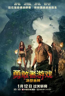 勇敢者游戏：决战丛林 Jumanji: Welcome to the Jungle_电影