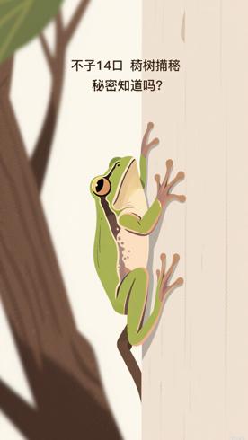 树蛙能在垂直表面爬行的秘密你知道吗