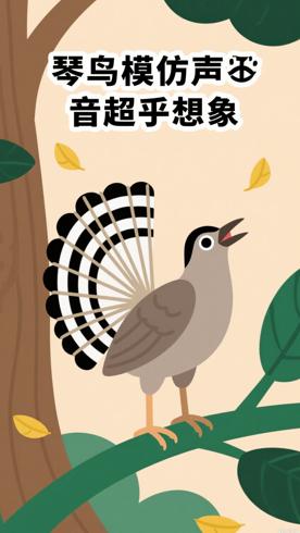 琴鸟模仿声音的逼真程度超乎你想象