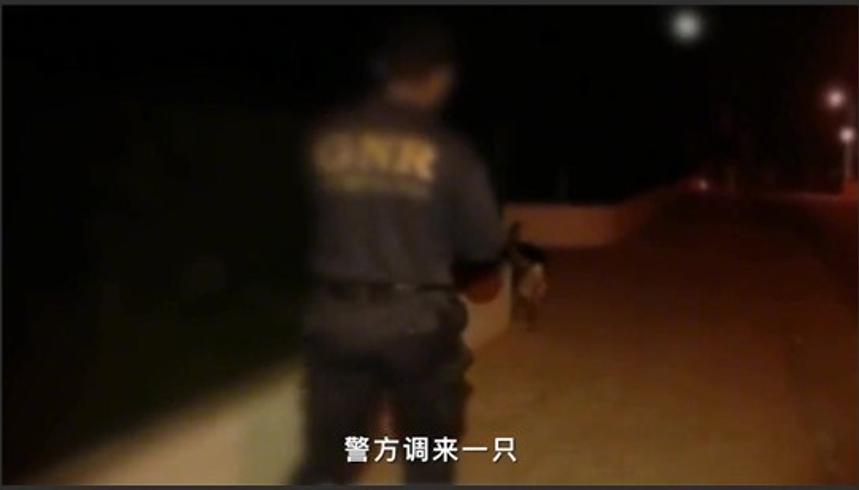 2011年安农大校园诡案：深夜失踪的女老师