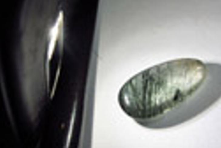 美国十大闹鬼学校恐怖传说全记录