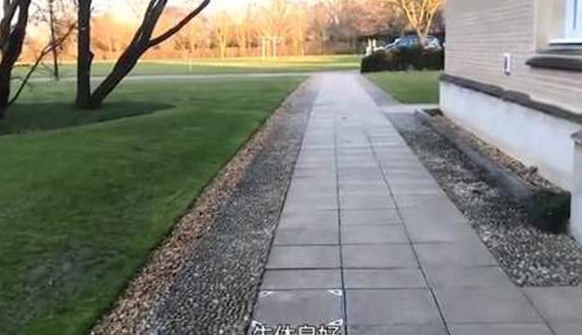 纪录片剑桥大学：学霸佩姬的高效周末生活