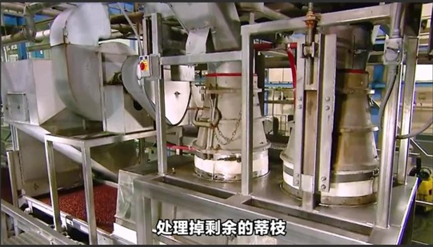 吃葡萄干前到底要不要洗看完制作过程就明白