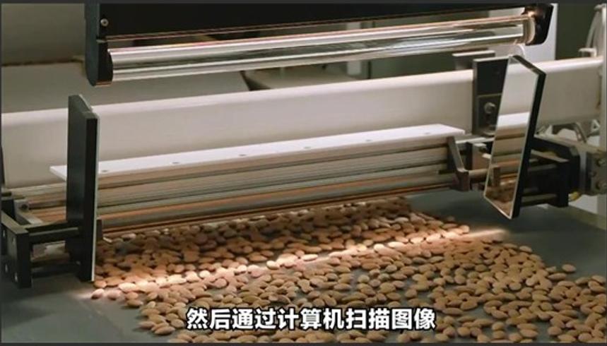 巴旦木仁的制作全过程及营养优势科普