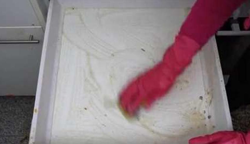 五年未打扫的脏乱房间清洁全过程