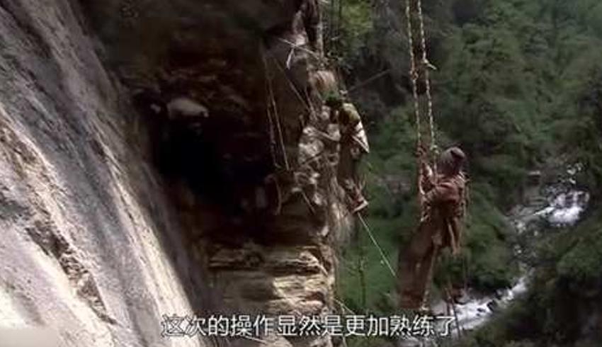 尼泊尔男孩莫迪悬崖采蜂蜜养家记