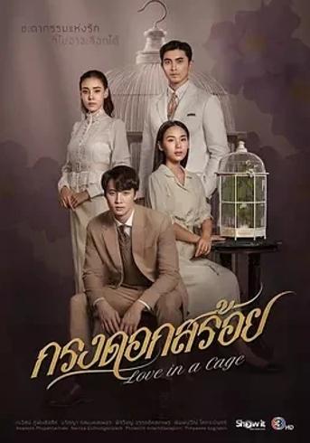 《花之囚笼》：爱与命运交织的年代传奇