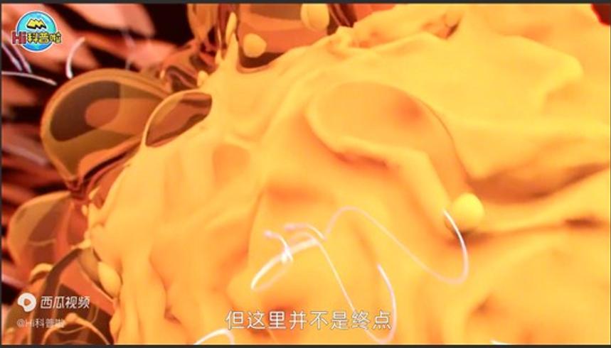 精子与卵子结合并非最快者胜而是集体努力的结果