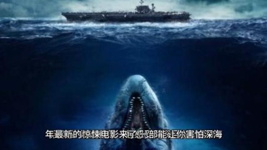 《狂暴黑鲨》：深海巨兽的复仇与人类在灾难中的挣扎