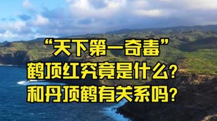 古代文化冷知识大揭秘鹤顶红与朝堂那些事