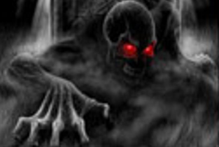 怨灵猫大沟村的黑猫复仇与人性异变