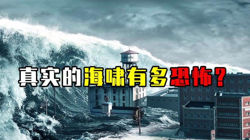 2011年日本夺命海啸未公开视频中的人类渺小瞬间