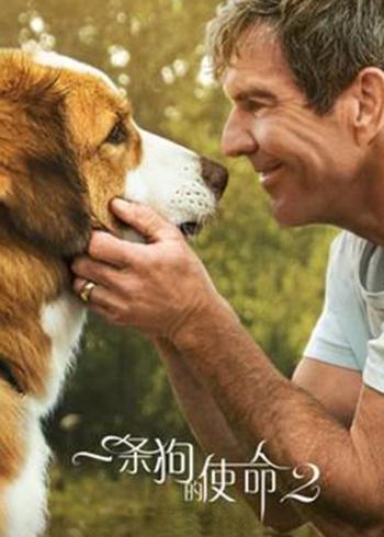 《一条狗的使命》：跨越轮回的忠诚守护与宿命重逢