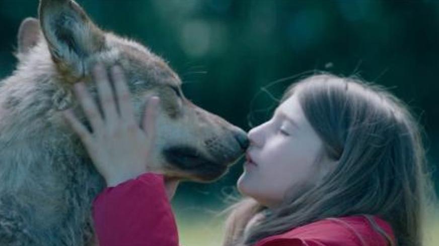 剧情电影《薇琪的秘密》：女孩与野狼的羁绊及生命救赎