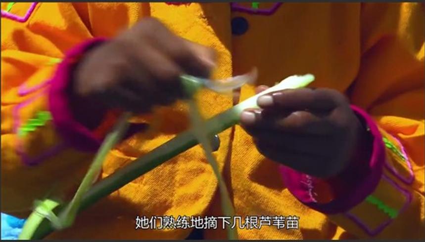 秘鲁最致命上学路孩子们冒死划船去上学