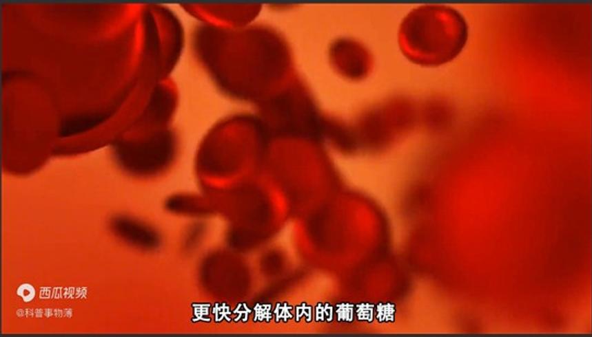 过度肥胖的可怕后果从两个美国人的遭遇说起