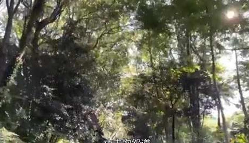 日本家庭主妇小萌的一天平凡中的温暖日常