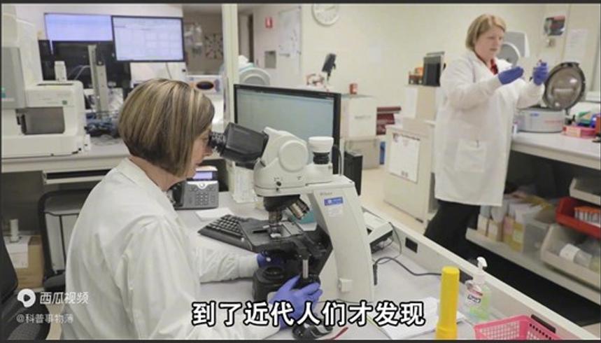 有钱人的三大奇葩用品猫屎咖啡龙涎香和虫草