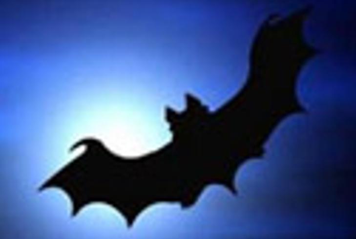 1987陕西《夜狸猫事件》：消失村庄的惊悚秘闻