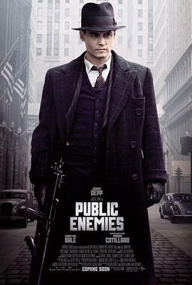 公众之敌 Public Enemies_电影