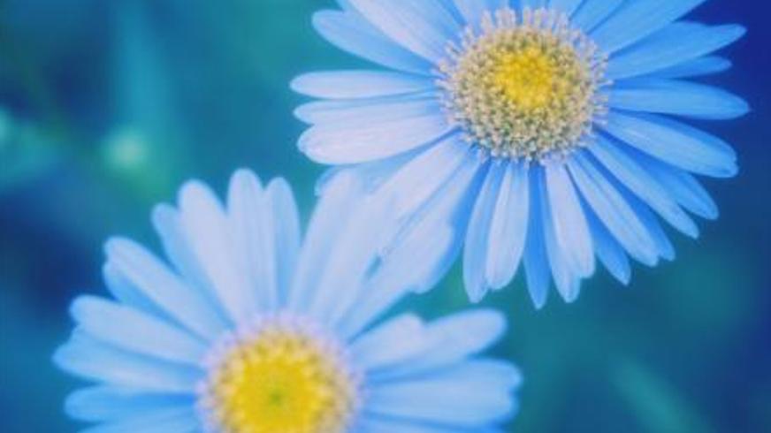 《爱情是什么》：一场关于卑微付出与自我觉醒的爱情叩问