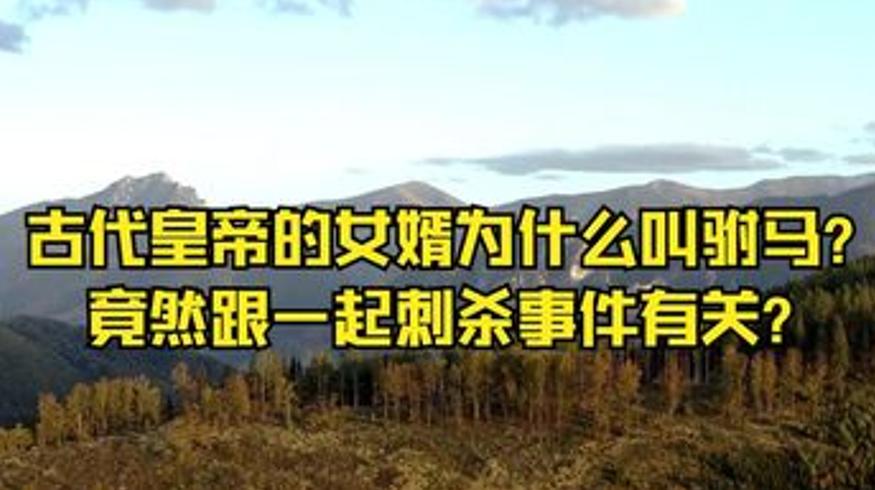 古代驸马寡妇包拯雍正与木乃伊皇帝秘闻