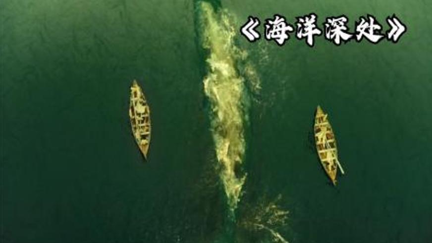 《海洋深处》：捕鲸船在怒海的生死传奇