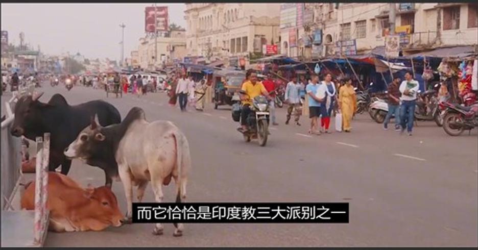 揭秘印度圣女真实生活：年幼侍僧侣晚年沦悲惨境地