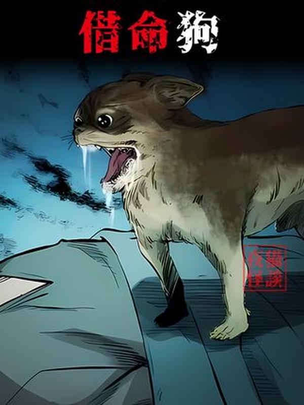 1948 年淮海战役珍贵影像：冰天雪地里的生死对决，军民同心的胜利史诗