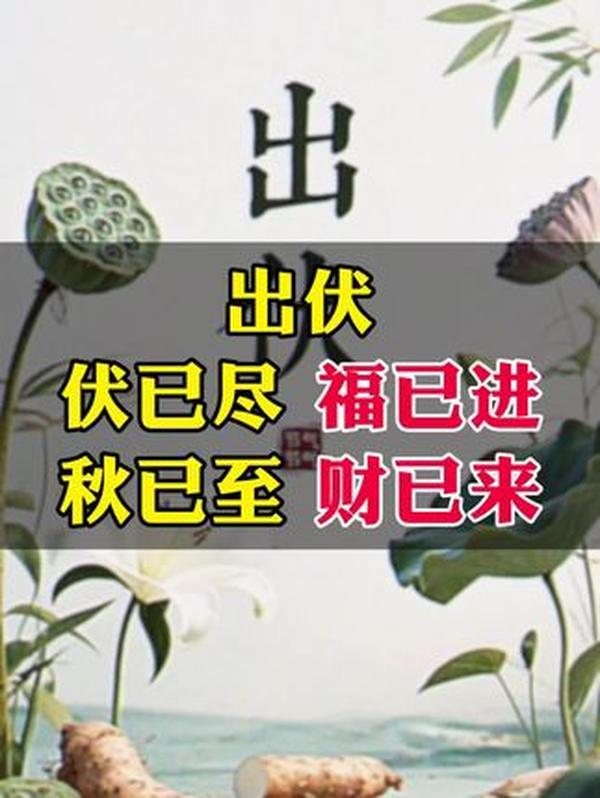 出伏啦！下半年这段 “凶险” 日子，养生要点全解析