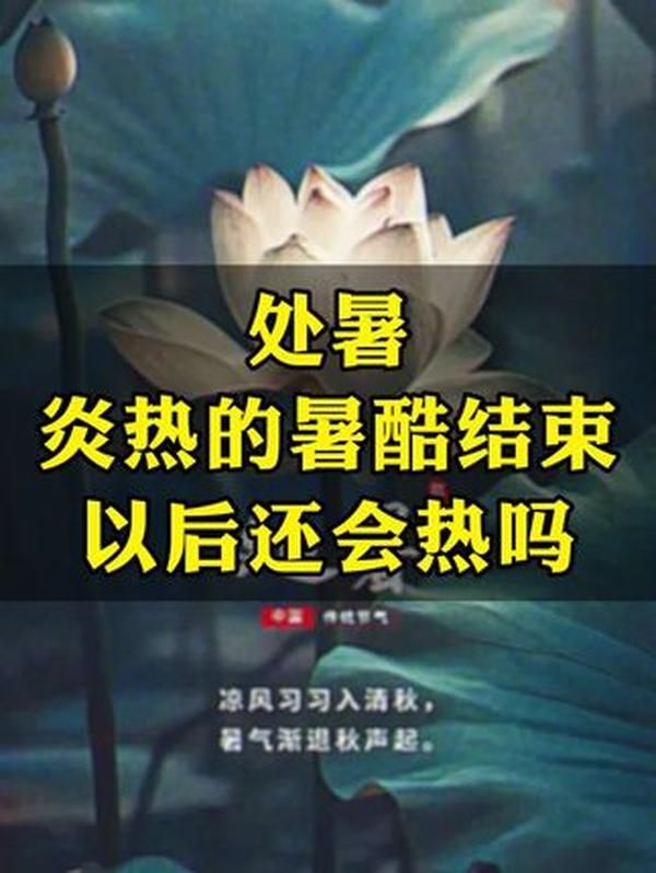 处暑将至：今年是秋老虎吗？牢记 2 件事，吃对 8 种食