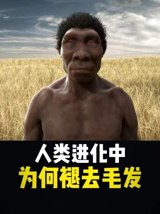 人类进化与头发保卫战