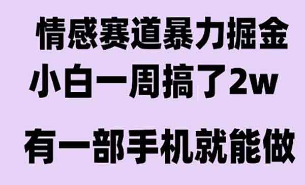 情感暴力掘金项目
