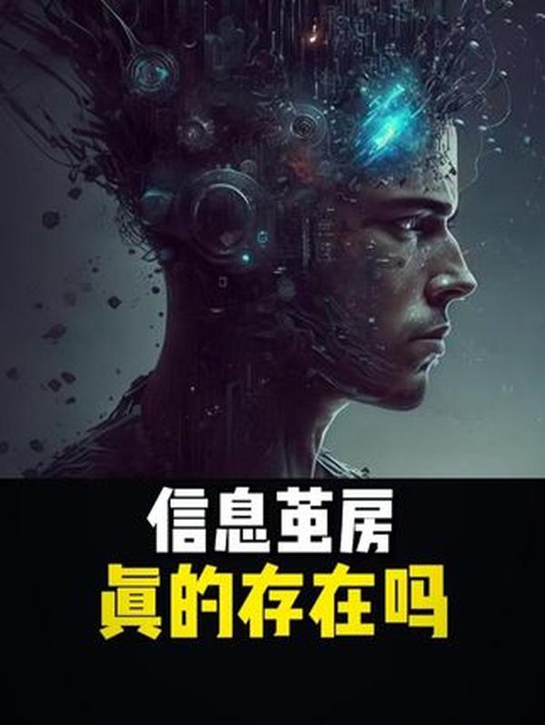 1948 年辽沈战役解放沈阳影像：东北首府的和平解放与全东北解放终章