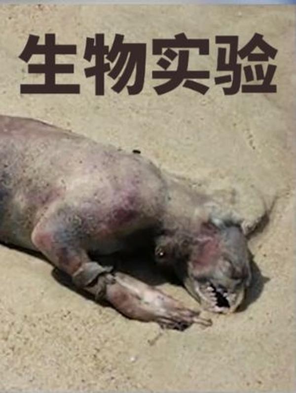 秦始皇陵水银之谜：3000 吨剧毒液体，藏着怎样的帝王野心？