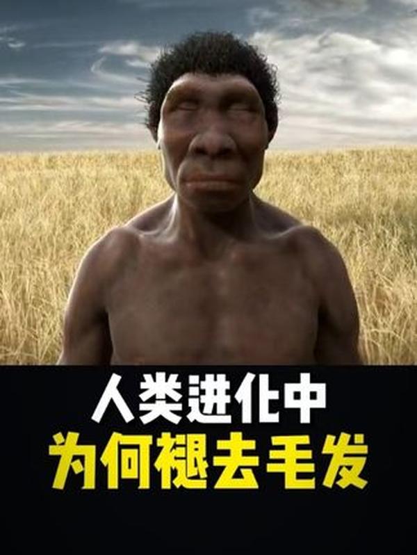 古代没有快递和高铁，如何实现“千里传信”？驿站的3大功能，藏着王朝运转密码